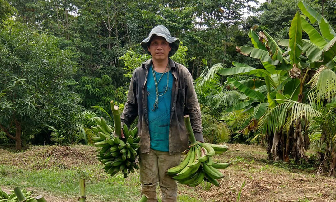 Indigenous agents use drones and AI to fight deforestation in the Amazon