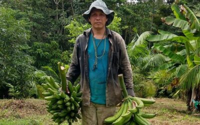 Indigenous agents use drones and AI to fight deforestation in the Amazon