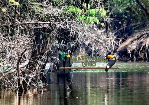 WhatsApp Image 2022-03-03 at 20.09.30 (4)