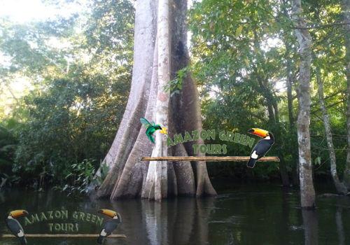 WhatsApp Image 2022-03-03 at 20.09.29