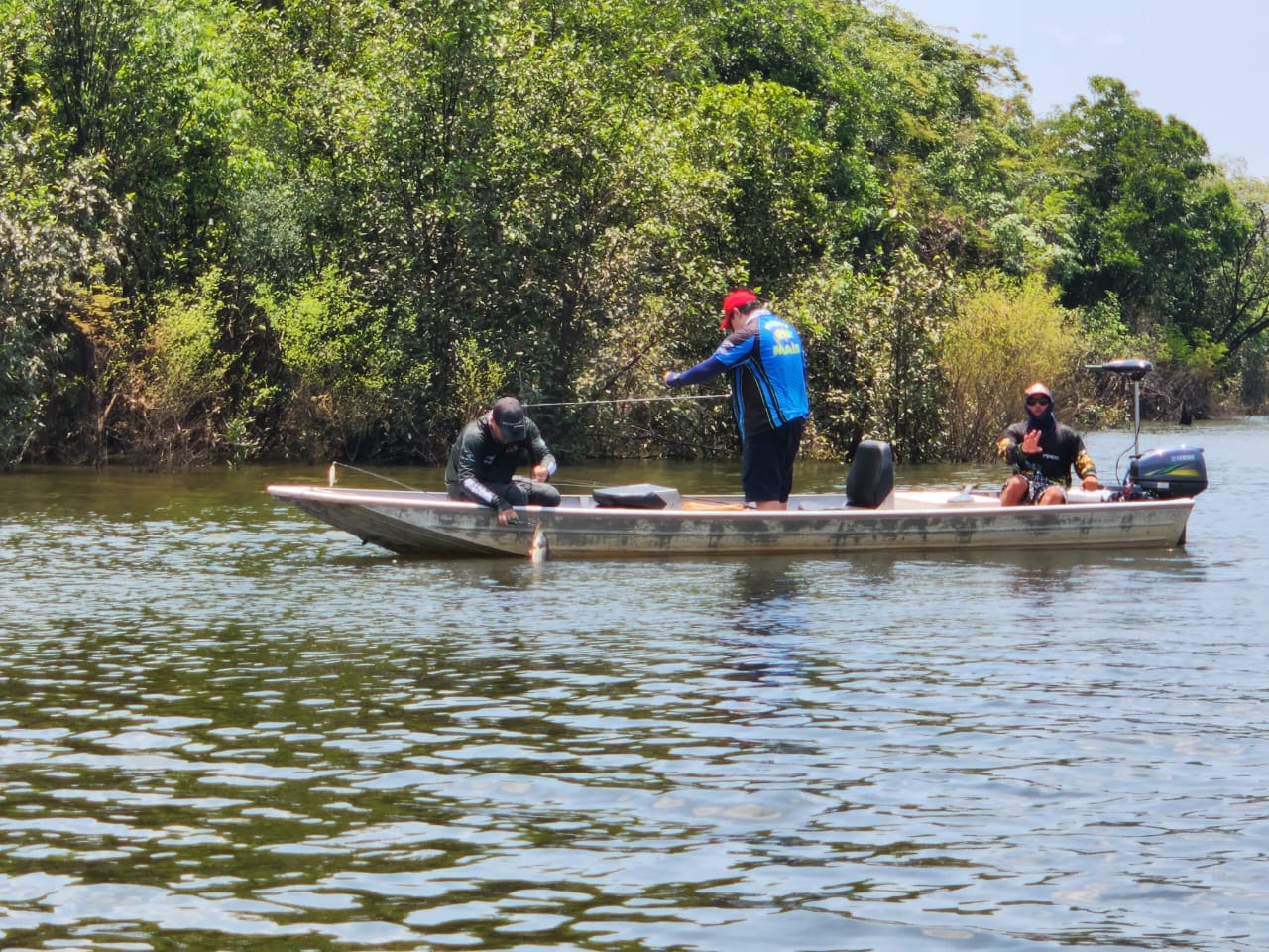 f3b54536-192f-4dcf-8bb2-6d82fb1bcd15